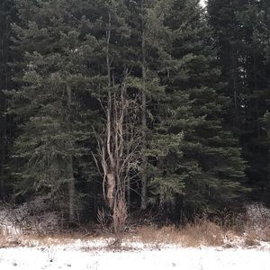 Meet your Posher, Rita